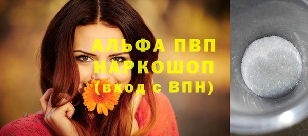 дживик Чердынь