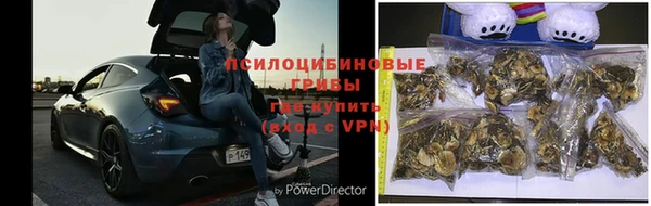 дживик Чердынь