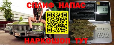 mdma Гатчина