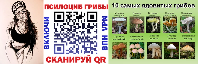Галлюциногенные грибы мицелий  Борисоглебск 