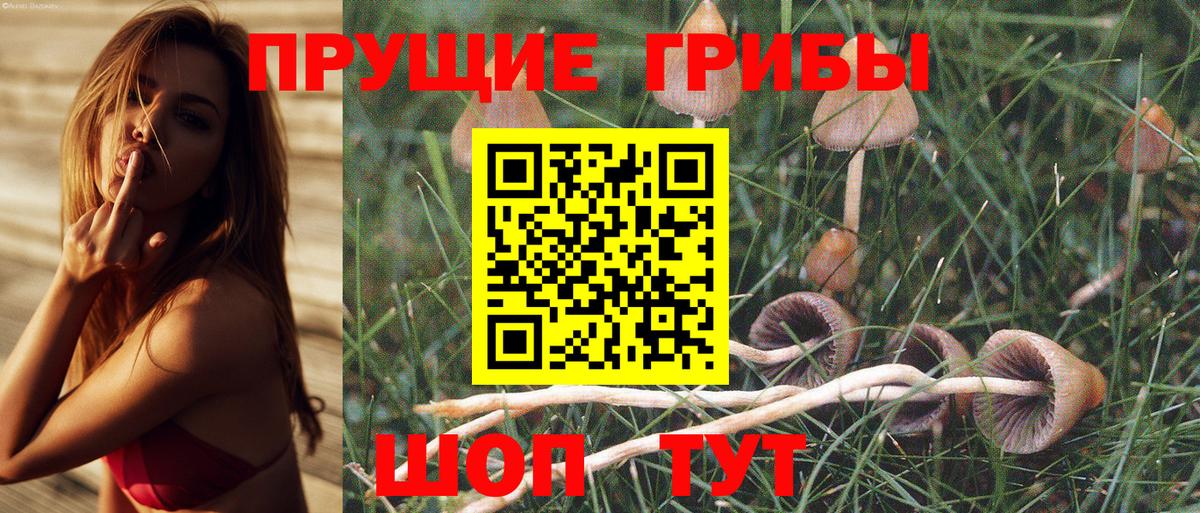 Борисоглебск  Галлюциногенные грибы Magic Shrooms  Вход с VPN 