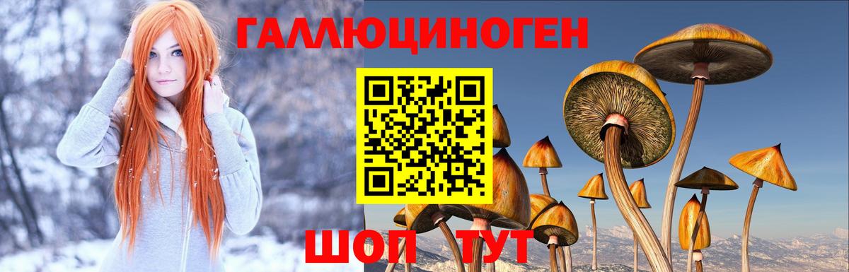 Галлюциногенные грибы Cubensis  Борисоглебск  Псилоцибиновые грибы GOLDEN TEACHER 